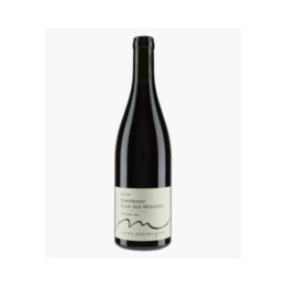 Santenay 1er Cru Clos des Mouches 2024 | MUZARD LUCIEN