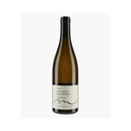 Santenay 1er Cru Maladière 2024 | MUZARD LUCIEN