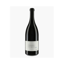 Pommard Les Vignots 2022 | HENRY MARTHE