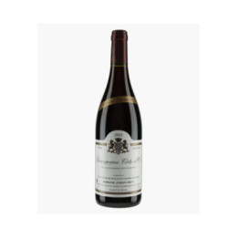 Bourgogne Côte d'Or Cuvée de Pressonnier 2023 | ROTY JOSEPH