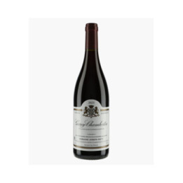 Gevrey-Chambertin 2023 | ROTY JOSEPH