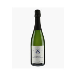Crémant de Bourgogne Extra Brut 2020 | THIBERT