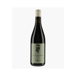 Gevrey-Chambertin En Champs | RECCHIONE JEREMY
