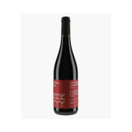 Saumur Champigny Alter Sybarites | MOLY