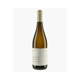 Saumur Le Bruit | MOLY