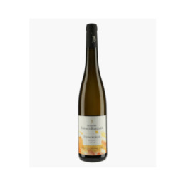 Riesling Grand Cru Steingrubler 2024 | BARMES-BUECHER