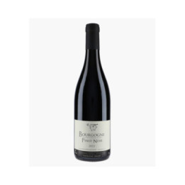 Bourgogne Pinot Noir | BERLANCOURT ADRIEN