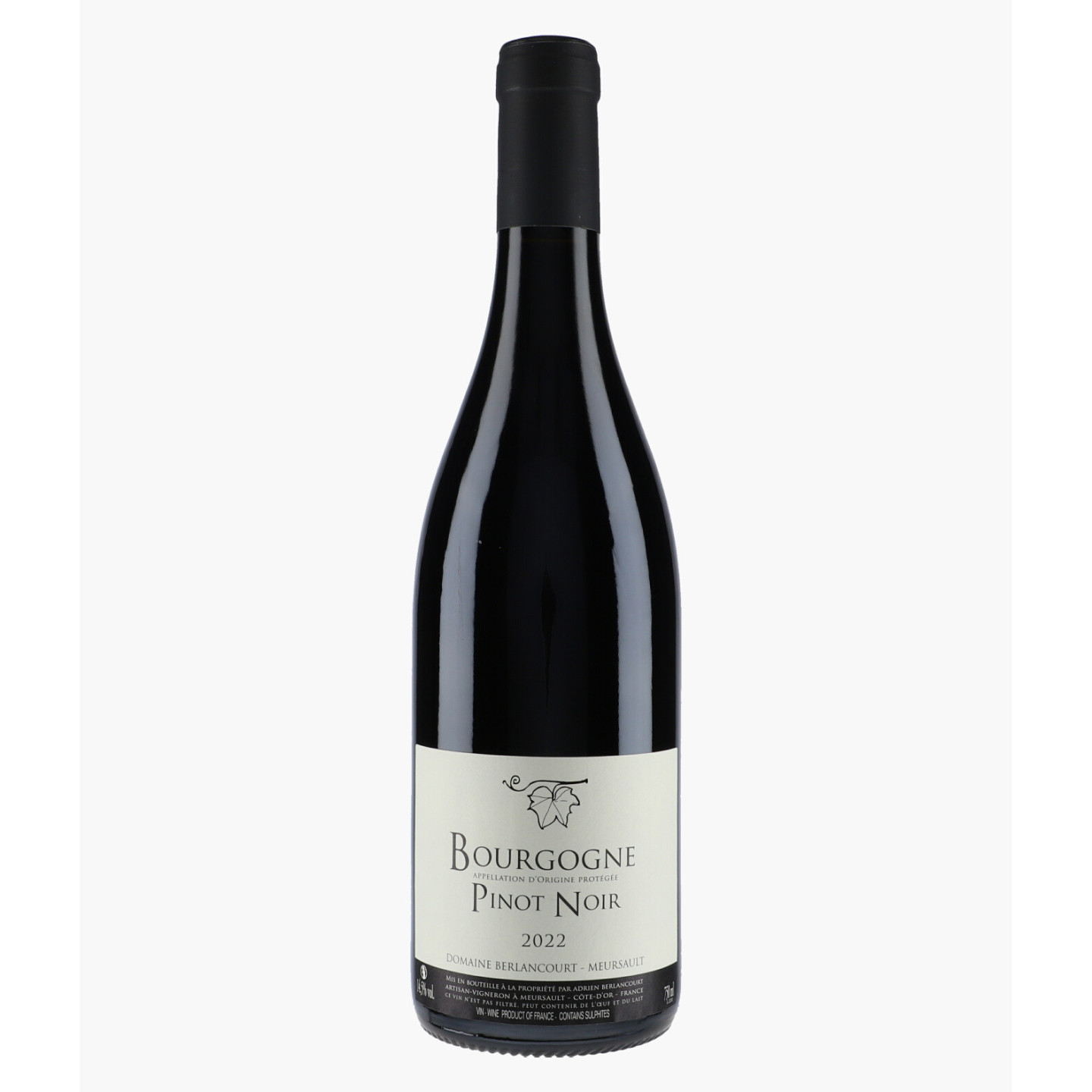 Bourgogne Pinot Noir | BERLANCOURT ADRIEN