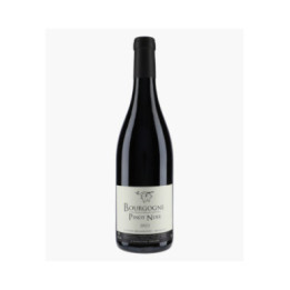 Bourgogne Pinot Noir | BERLANCOURT ADRIEN