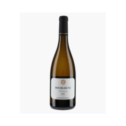 Bourgogne Chardonnay 2024 | BACHELET AURORE