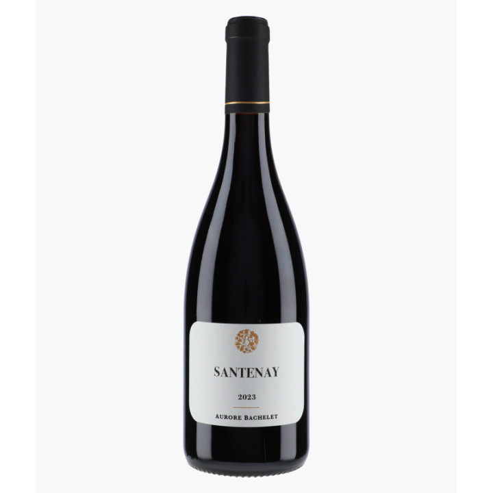 Santenay 2023 | BACHELET AURORE