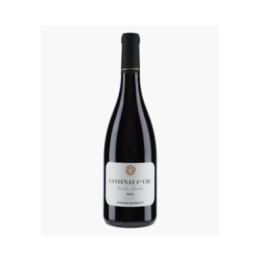 Santenay 1er Cru Clos des Mouches 2024 | BACHELET AURORE