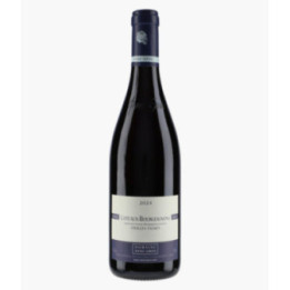 Côteaux Bourguignons Vieilles Vignes 2024 | GROS ANNE