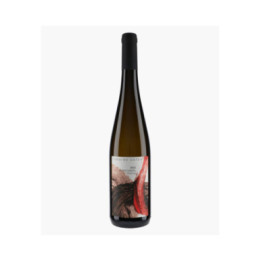 Muenchberg Grand Cru Riesling 2023 | OSTERTAG