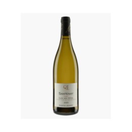 Santenay Clos des Hâtes 2020 | JEANNOT