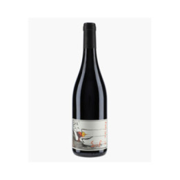 Bourgueil Jour de Soif 2024 | BEL AIR
