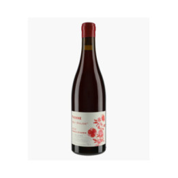 Yvonne Bay Rouge Pineau d'Aunis 2023 | CHATEAU YVONNE