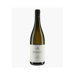 Meursault 2023 | TRICOT M-J