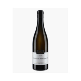 Chassagne-Montrachet 2024 | MOREY-COFFINET