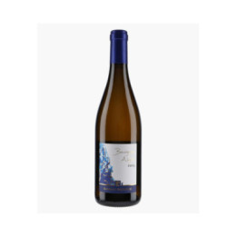 Bourgogne Aligoté | PATAILLE LAURENT