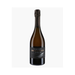 Champagne Les Terres Mêlées 2022 | BICHERY