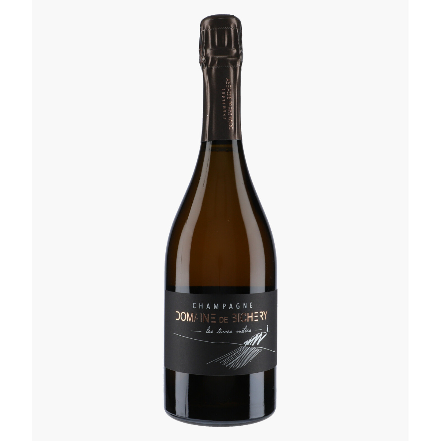Champagne Les Terres Mêlées 2022 | BICHERY