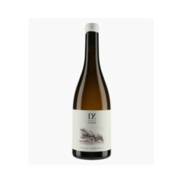 Initiale | ZURIA DOMAINE