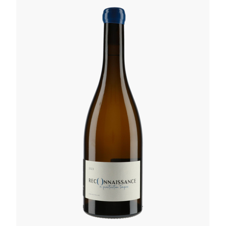 Montagny Reconnaissance | BEAUNE ALINE