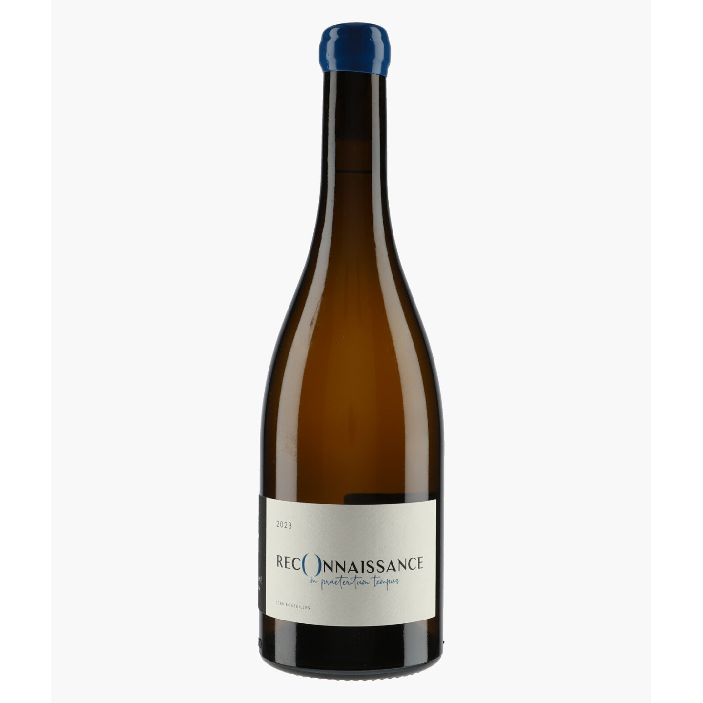 Montagny Reconnaissance | BEAUNE ALINE