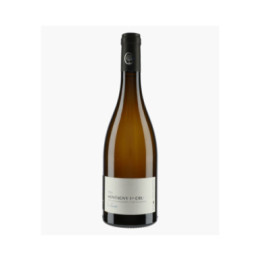 Montagny 1er Cru Le Cloux | BEAUNE ALINE