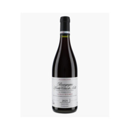 Bourgogne Hautes-Côtes de Nuits La Poirelotte | ROUMIER LAURENT