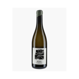 Vin de France Eclats - Melon de Bourgogne 2024 | HARDY JEAN-BAPTISTE