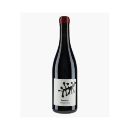 Vin de France Ponceau - Cabernet Franc & Merlot 2024 | HARDY JEAN-BAPTISTE