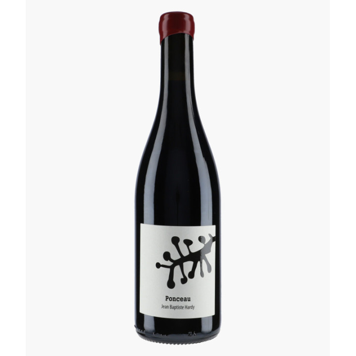 Vin de France Ponceau - Cabernet Franc & Merlot | HARDY JEAN-BAPTISTE