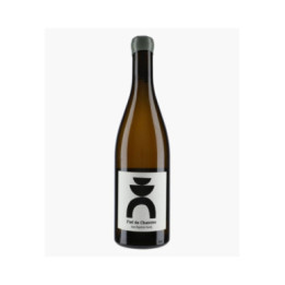 Muscadet Fief de Chaintre 2022 | HARDY JEAN-BAPTISTE