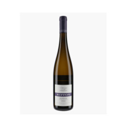 MatuRe vine Riesling | RIPPON
