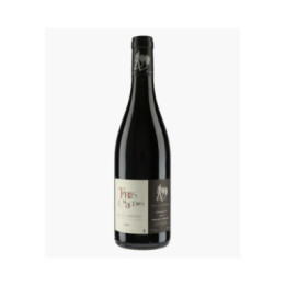 Saumur-Champigny Terres Chaudes V.V 2023 | ROCHES NEUVES - THIERRY GERMAIN