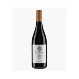 Terra Rouge 2025 | MOULIN DE GASSAC