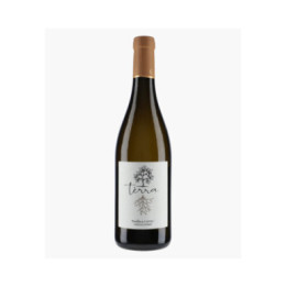 Terra Blanc 2025 | MOULIN DE GASSAC