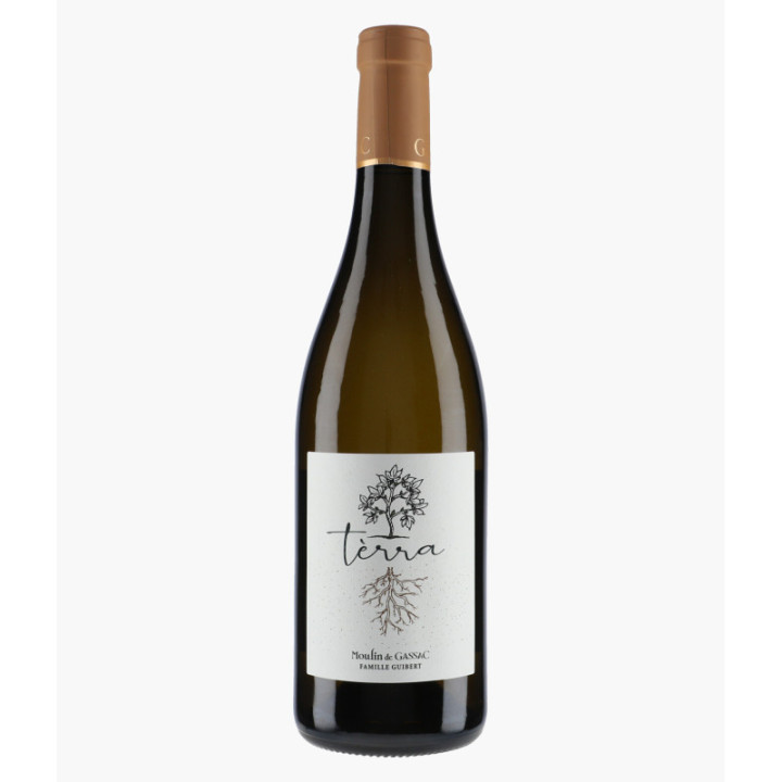Terra Blanc 2025 | MOULIN DE GASSAC