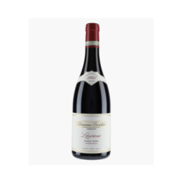 Pinot Noir d'Oregon Cuvée Laurène 2022 | DROUHIN OREGON