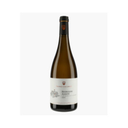 Bourgogne Aligoté 2023 | THOMAS-COLLARDOT