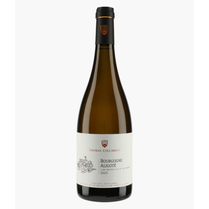 Bourgogne Aligoté 2023 | THOMAS-COLLARDOT