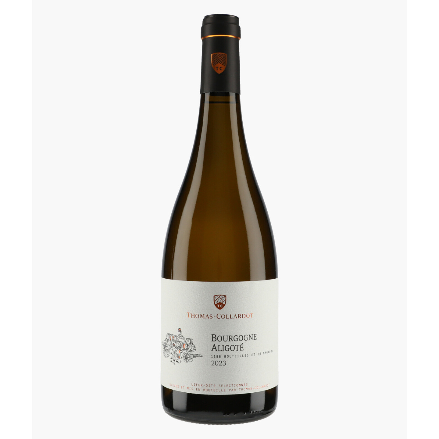 Bourgogne Aligoté 2023 | THOMAS-COLLARDOT