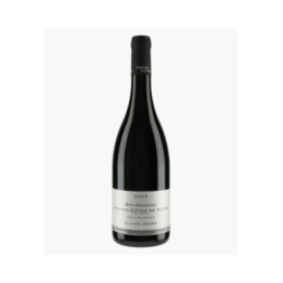 Bourgogne Hautes-Côtes de Nuits V.V 2023 | JOUAN OLIVIER