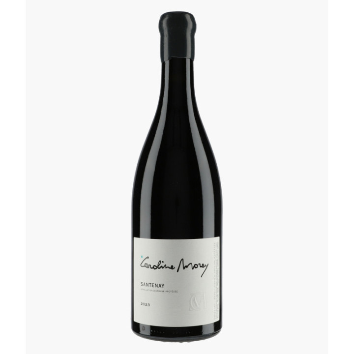 Santenay 2023 | MOREY CAROLINE
