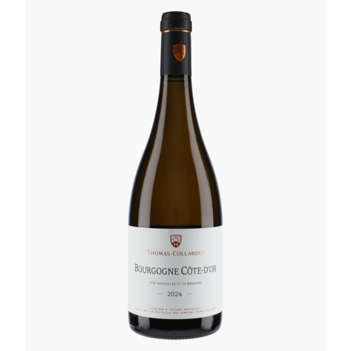 Bourgogne Côte d'Or Chardonnay 2024 | THOMAS-COLLARDOT