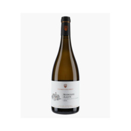 Bourgogne Aligoté 2024 | THOMAS-COLLARDOT