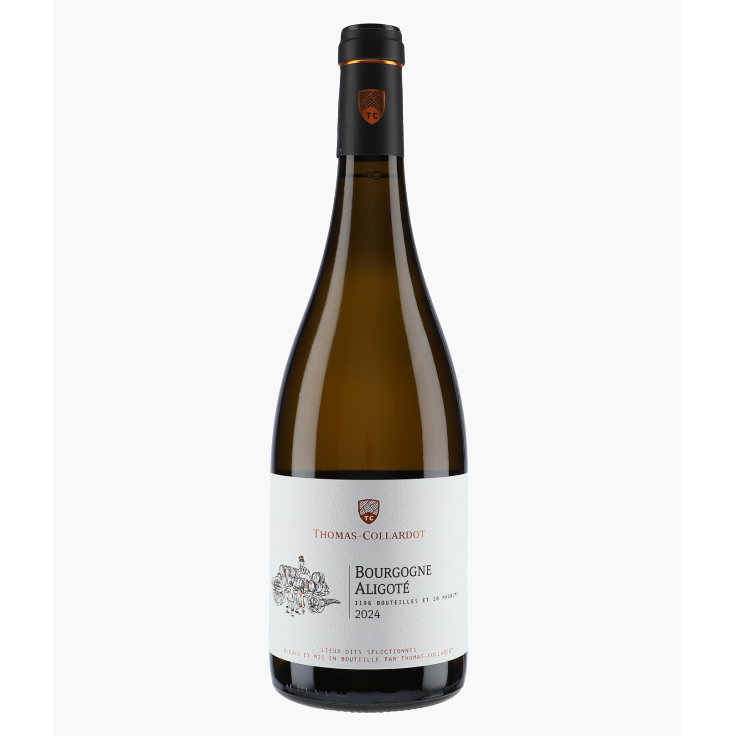 Bourgogne Aligoté 2024 | THOMAS-COLLARDOT