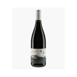 Coteaux Bourguignons Gamay 2022 | DIDON